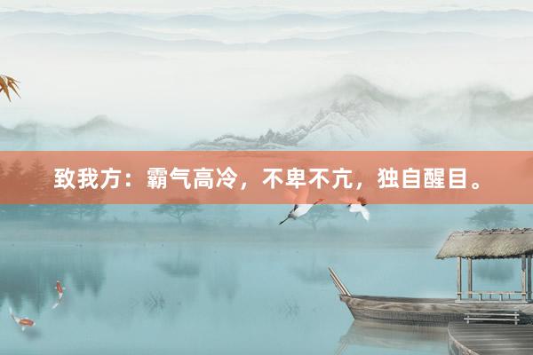 致我方：霸气高冷，不卑不亢，独自醒目。