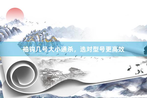 袖钩几号大小通杀，选对型号更高效